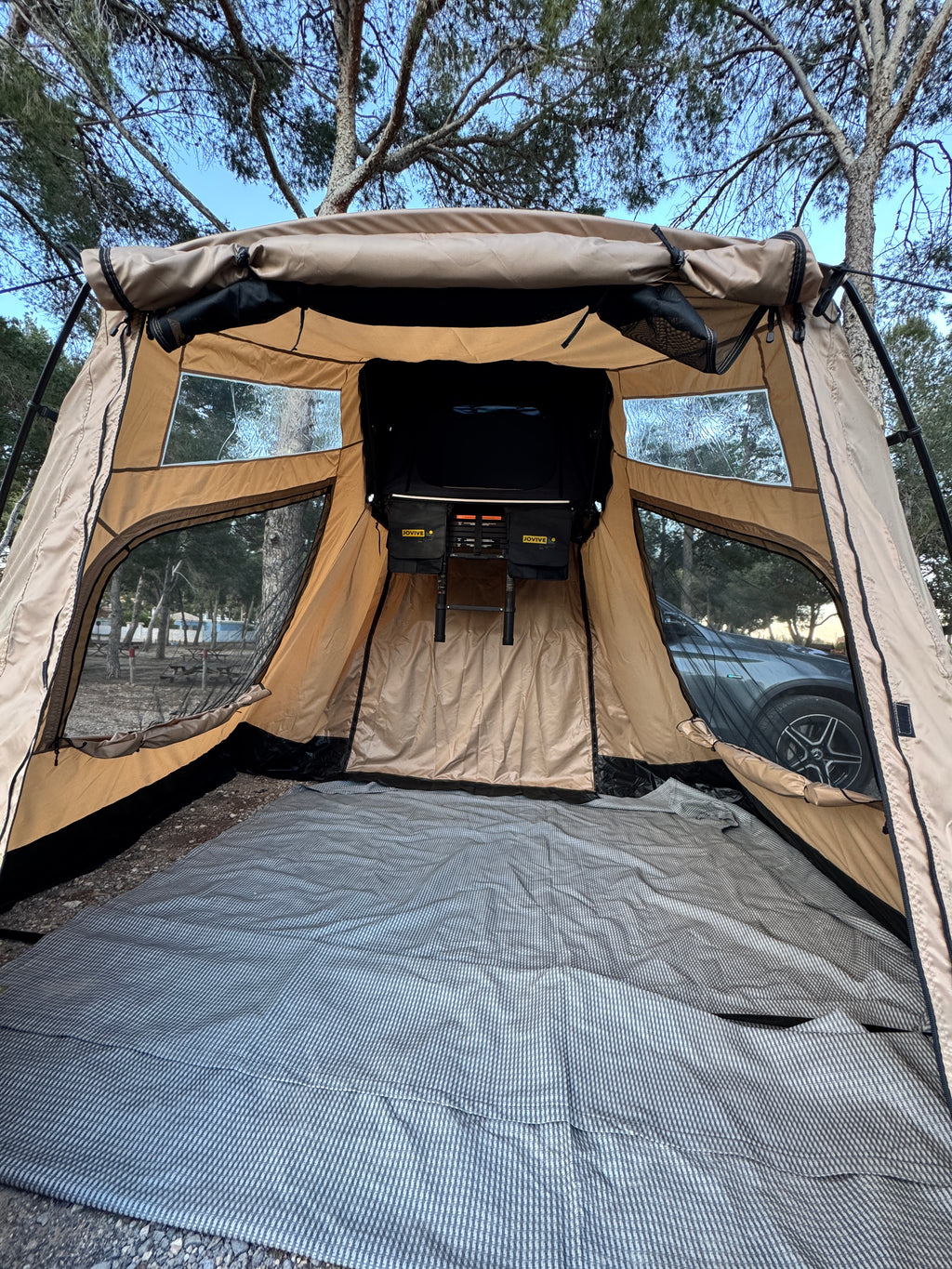 Avanzamento negozio tetto auto Jovive Chest ASA M 