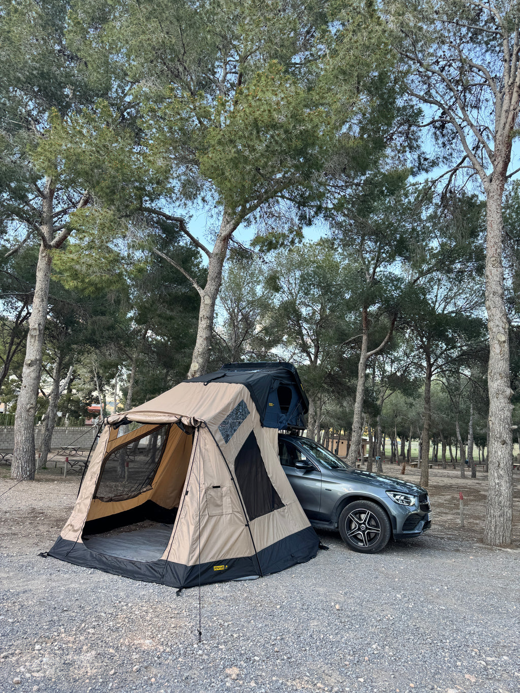 Avanzamento negozio tetto auto Jovive Chest ASA M 