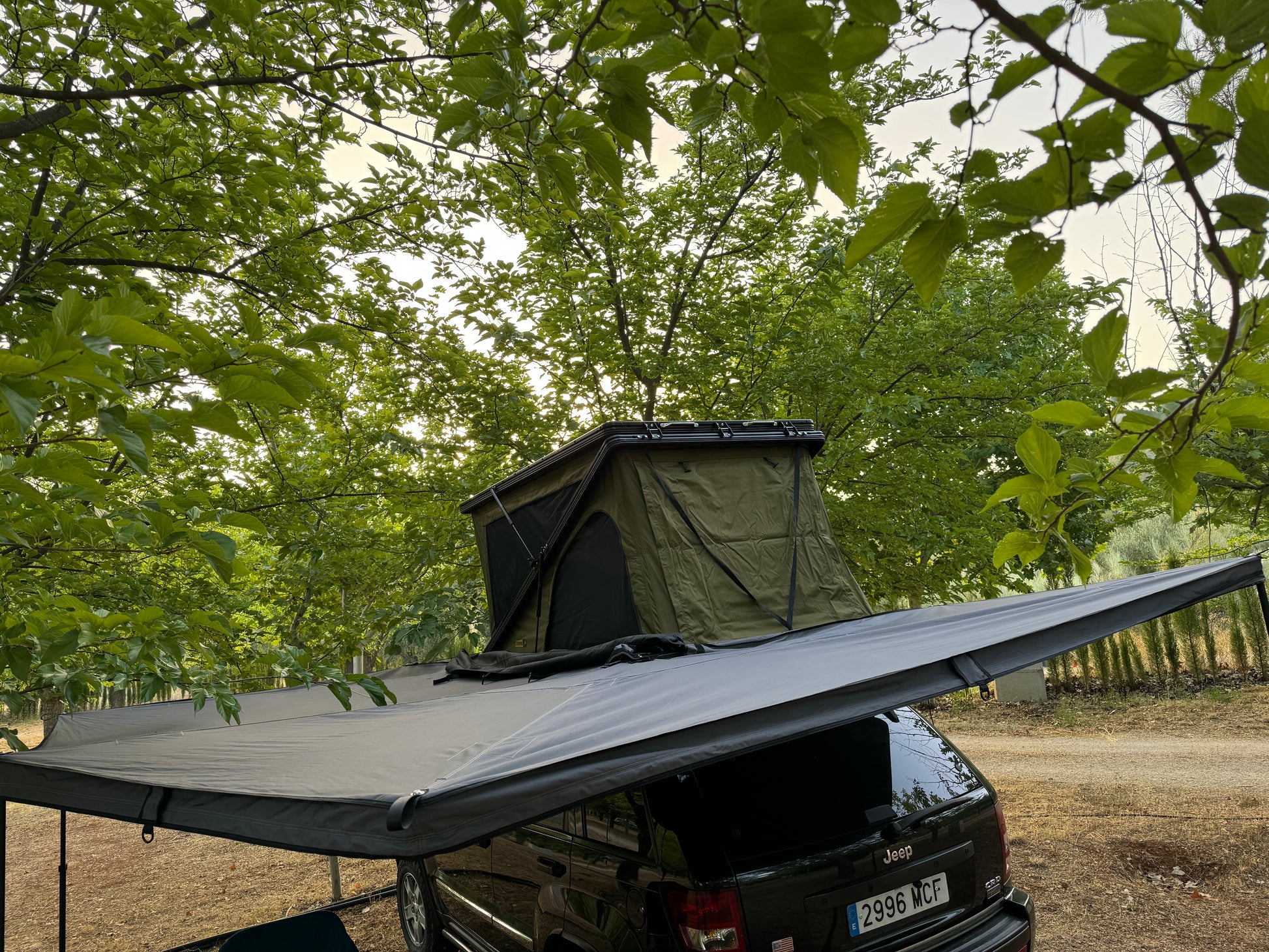 270 jovive auvent 6 bras